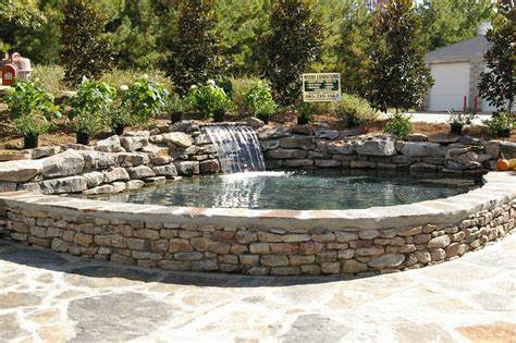 Creating a DIY Pond Water Garden: Combining Beauty with Functionality