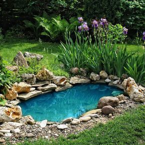 DIY Pond Deck Maintenance: Keeping Your Outdoor Space Safe