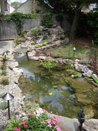 Installing a DIY Pond Skimmer: Keeping Your Water Surface Clean