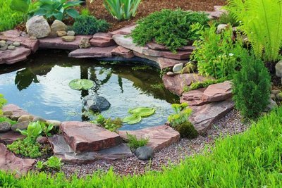 Preventing DIY Pond Erosion: Protecting Your Pond Banks