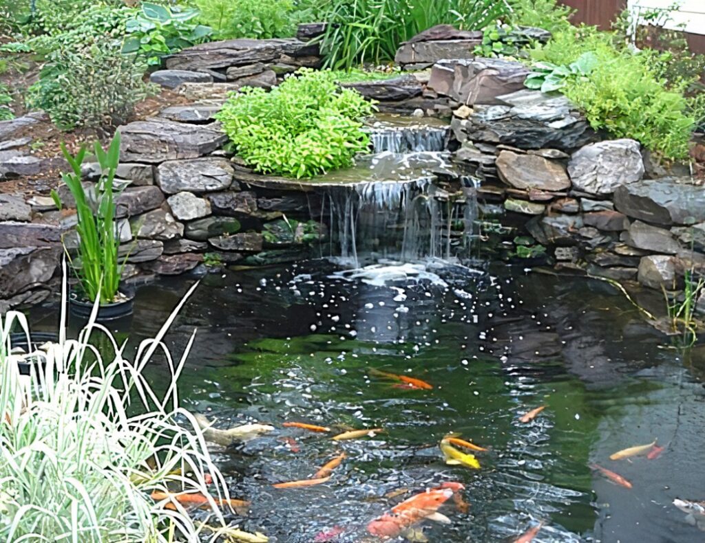 Winterizing Your DIY Pond: Protecting Your Pond During Cold Months
