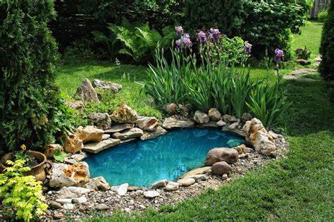 Design Inspirations: Styles and Shapes for DIY Ponds